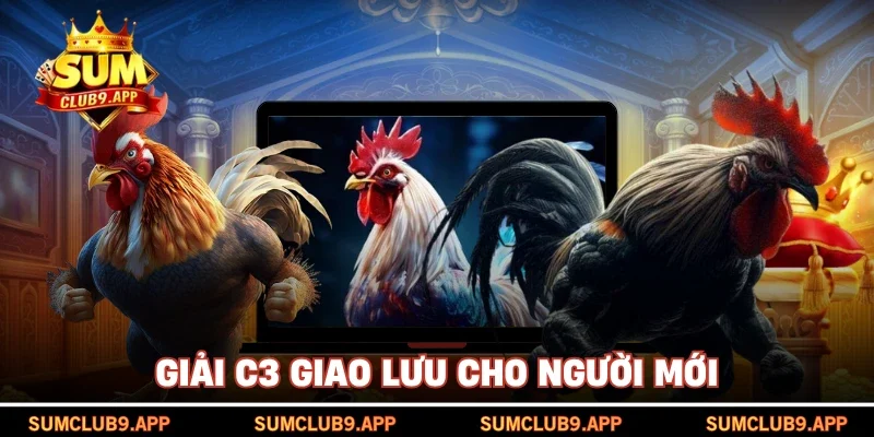 Giải C3 giao lưu cho người mới
