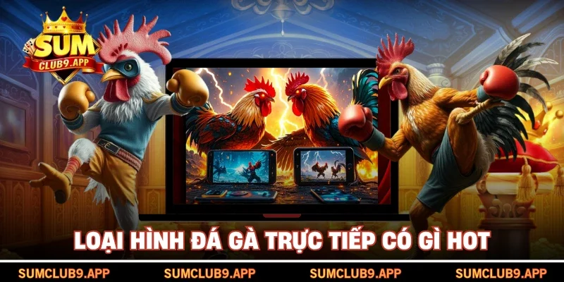 đá gà trực tiếp sumclub