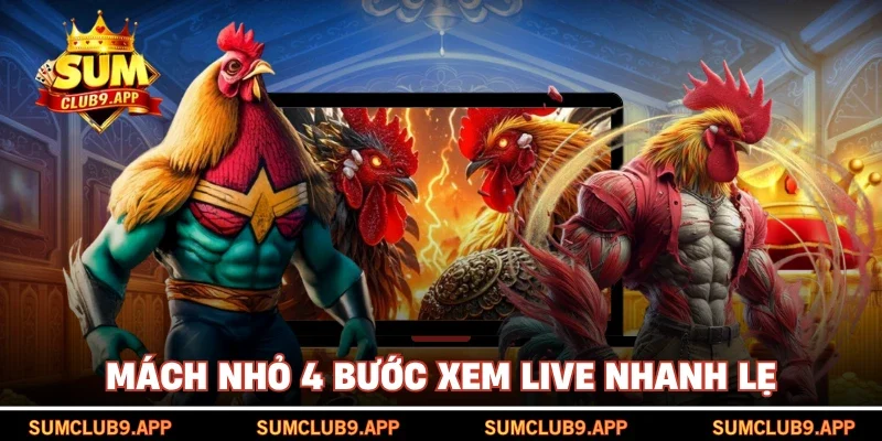 Mách nhỏ 4 bước xem live nhanh lẹ