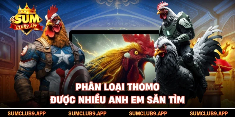 Phân loại Thomo được nhiều anh em săn tìm