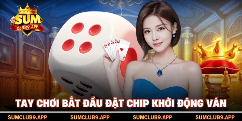 Tay chơi bắt đầu đặt chip khởi động ván
